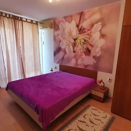 Apartament In Cu Piscina La Bg *