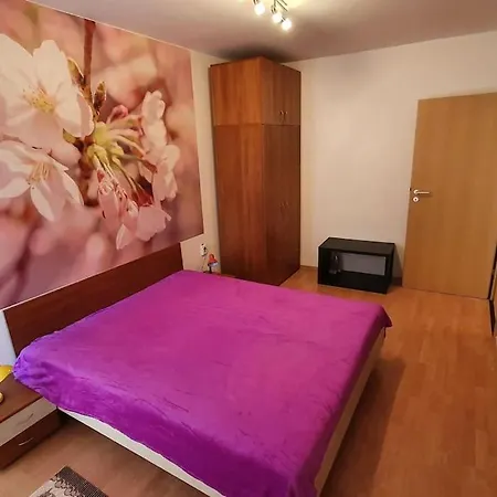 Apartament In Cu Piscina La Bg *
